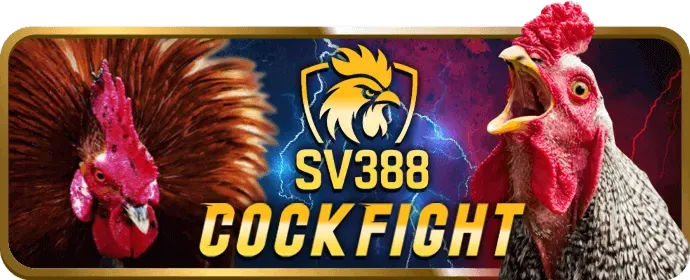 Điều khoản và điều kiện khuyến mãi v7bet